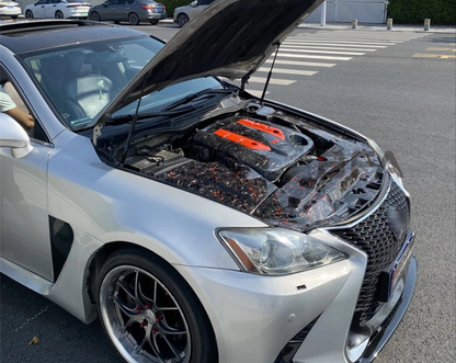 Lexus 2IS Carbon Fiber Engine Trim